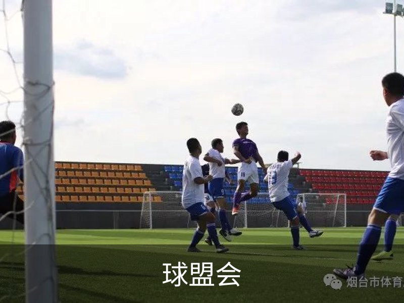 球盟会概况